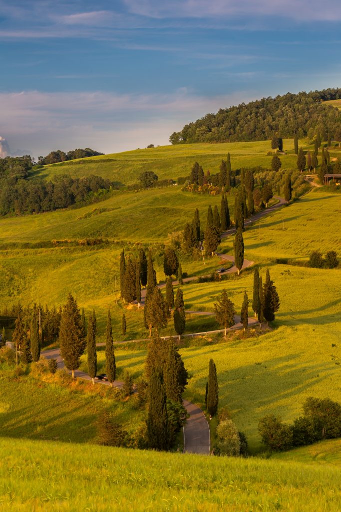 A vertical shot of green fields surrounded by hills in the countryside
